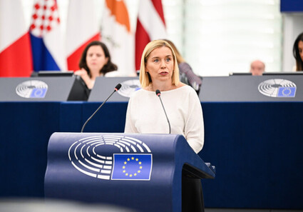 Danuše Nerudová
