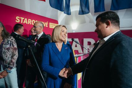 Danuše Nerudová